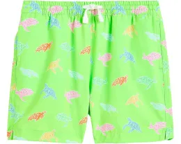 Плавки The Lil Turtally Awesome с принтом черепахи Chubbies Kids