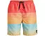 Детские спортивные шорты Everyday Mix Volley с принтом Quiksilver Kids