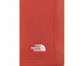 Шорты The North Face Evolution Emb с эластичным поясом и вышитым логотипом