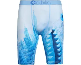 Трусы ethika BMR City of Stillness с эластичным поясом и принтом