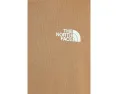 The North Face футболка Evolution TNF NSE Regular с коротким рукавом Caraway Seed