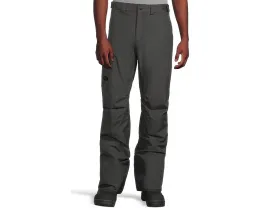 Утепленные лыжные брюки The North Face Freedom с изоляцией 60 г