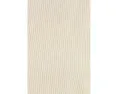 The Boatneck Shell