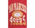 Футболка Junk Food Clothing Kids с длинным рукавом и принтом San Francisco 49ers для детей