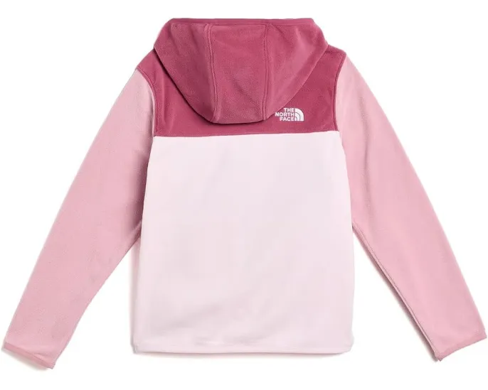 Худи The North Face Glacier Full Zip с капюшоном для малышей