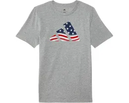 Футболка adidas Kids с логотипом флага США для мальчиков