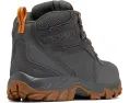 Водонепроницаемые ботинки Columbia Newton Ridge Plus II Suede с технологией Omni Tech