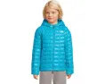 Детская утепленная куртка ThermoBall Hooded Jacket с капюшоном от The North Face Kids