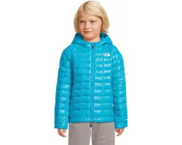 Детская утепленная куртка ThermoBall Hooded Jacket с капюшоном от The North Face Kids