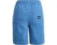Quiksilver Kids Детские шорты Taxer Cord из мягкого вельвета с расслабленным кроем