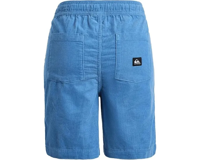Quiksilver Kids Детские шорты Taxer Cord из мягкого вельвета с расслабленным кроем