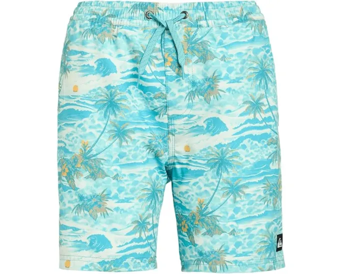 Детские шорты Surfsilk Mix Volley с принтом и эластичным поясом Quiksilver