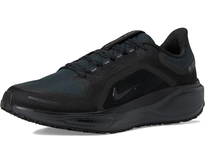 Беговые кроссовки Nike Pegasus 41 GORE-TEX с защитой от воды