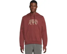 Толстовка The North Face Evolution TNF Bear с капюшоном и графикой