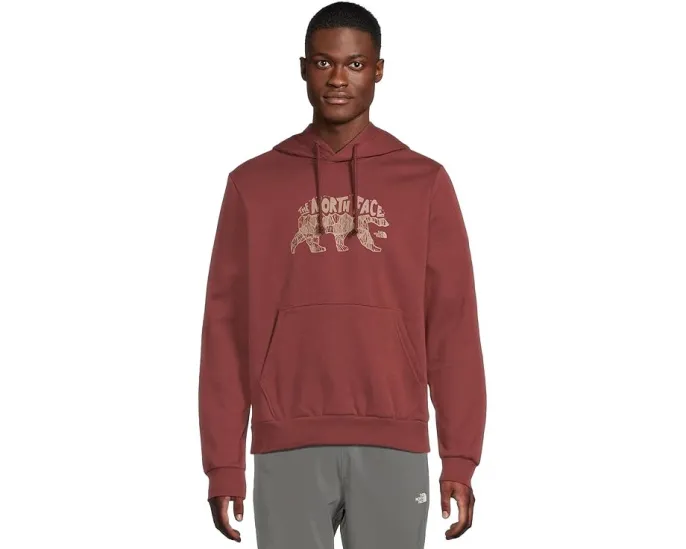 Толстовка The North Face Evolution TNF Bear с капюшоном и графикой