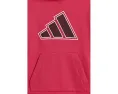 Детский спортивный костюм Adidas Graphic Fleece с капюшоном