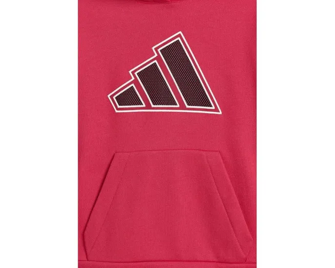 Детский спортивный костюм Adidas Graphic Fleece с капюшоном