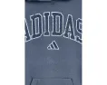 Худи Adidas Collegiate Arch с капюшоном для детей