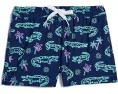 The Neon Glades Lined Swim Trunk (Big Kid)