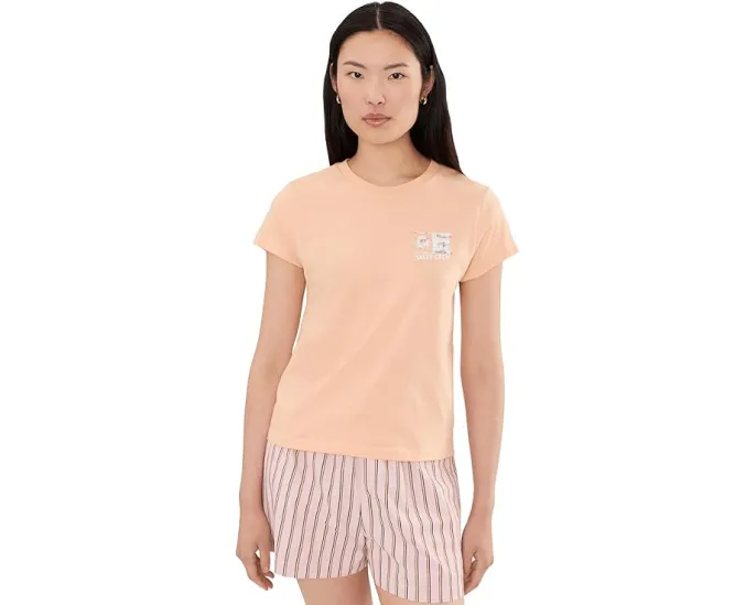 Футболка Salty Crew Flagship Fill Modern Tee с принтом