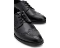 Оксфорды Steve Madden Aymmers с перфорацией броги и стелькой OrthoLite