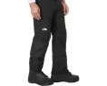 Утепленные лыжные брюки The North Face Freedom с изоляцией 60 г