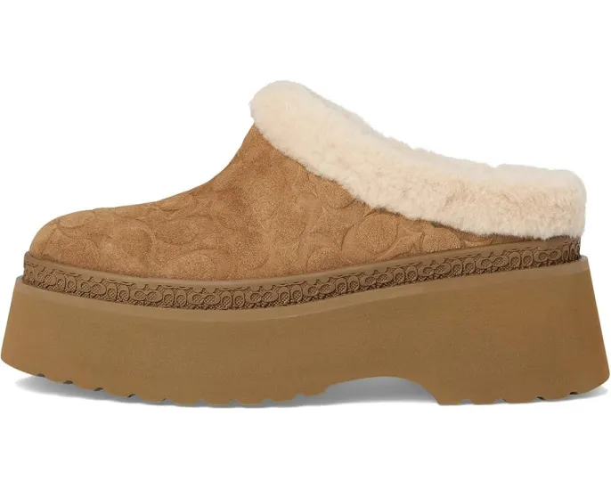 Сабо COACH Cecelia из замши с подкладкой из овчины