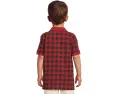 Хлопковая поло Buffalo Check в сетку Polo Ralph Lauren Kids для малышей и младших детей