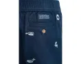 Шорты Janie and Jack Embroidered Pull On для малышей с вышивкой и карманами