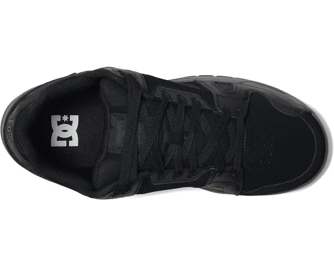 Рабочие ботинки DC Work Stag Work с композитным носком и защитой от электричества