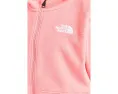 The North Face Kids Glacier худи на молнии для малышей