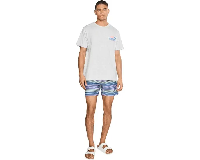 Плавки Chubbies The Blossom Bands 14 см в полоску с защитной подкладкой