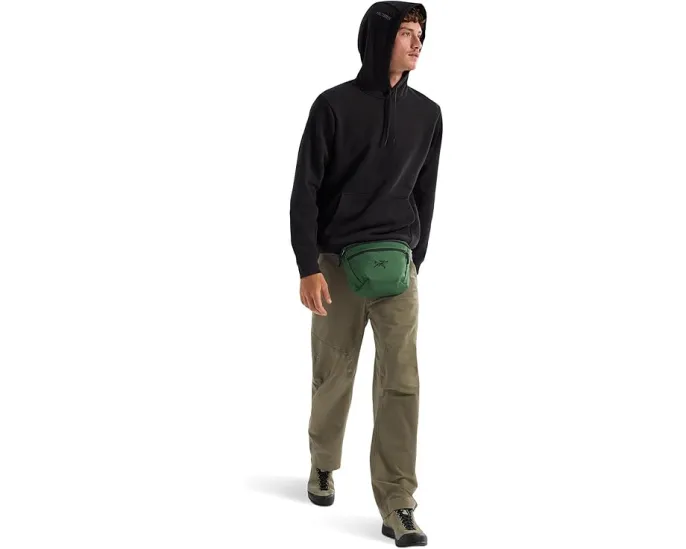 Флисовая толстовка Arc'teryx Emblem Fleece с капюшоном из органического хлопка