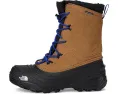Детские непромокаемые зимние ботинки The North Face Alpenglow V