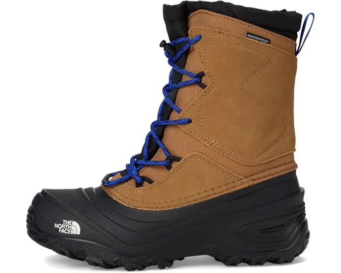Детские непромокаемые зимние ботинки The North Face Alpenglow V