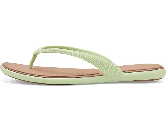 Сандалии Reef сланцы Water Willow Malibu водостойкие