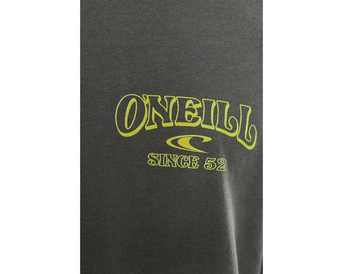 Повседневная футболка O'Neill Daily Driver Classic