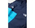 The North Face Kids Реверсивная куртка Shasta с капюшоном для малышей