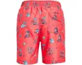 Детские спортивные шорты Everyday Mix Volley с принтом Quiksilver Kids
