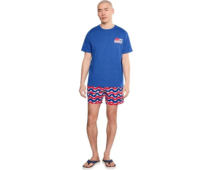 Футболка Chubbies The Ol' College Try с принтом на спине и круглым вырезом