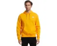 Толстовка The North Face Evolution Simple Dome с капюшоном и вышитым логотипом