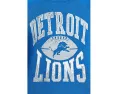 Толстовка NFL Detroit Lions реглан из флиса для детей Junk Food Clothing