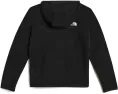 Худи The North Face Glacier Full Zip с капюшоном для малышей