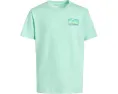 Футболка Quiksilver Core Short Sleeve для детей