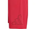 Шорты adidas Kids Essentials Big Logo с эластичным поясом из полиэстера