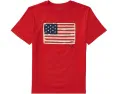 Детская футболка Polo Ralph Lauren Kids Flag Cotton с аппликацией американского флага