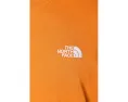 Футболка The North Face Evolution Simple Dome с короткими рукавами и вышитым логотипом