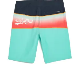 Шорты для плавания Everyday Panel для мальчиков от Quiksilver с кулиской