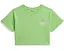 Футболка Polo Ralph Lauren с логотипом Big Pony