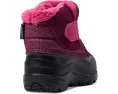 Детские зимние ботинки The North Face Kids Alpenglow II для малышей